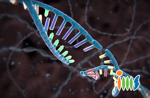 Xét nghiệm DNA trong phân