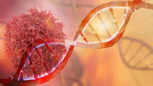 Ung thư máu hoàn toàn có khả năng di truyền do đột biến gen 