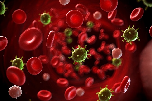 Ung thư máu không lây nhiễm từ người bệnh sang người khỏe mạnh