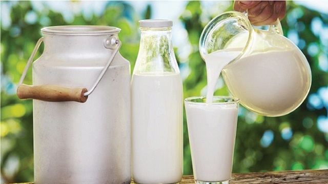 Sữa và các thực phẩm từ sữa có thể làm giảm hiệu quả, chất lượng điều trị