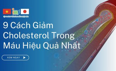 9 Cách Giảm Cholesterol Trong Máu Hiệu Quả Nhất